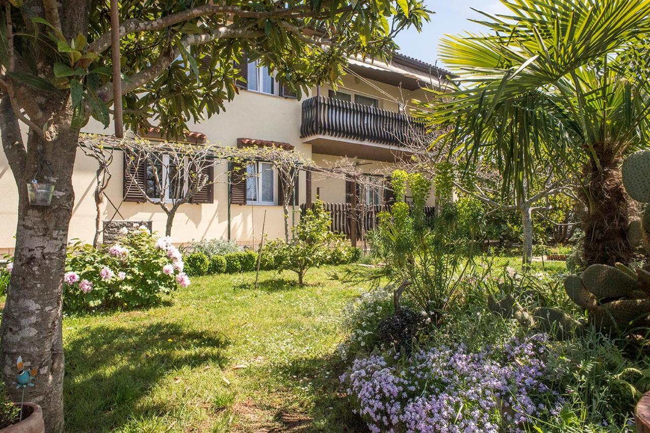 Apartment Lori Fažana Dış mekan fotoğraf