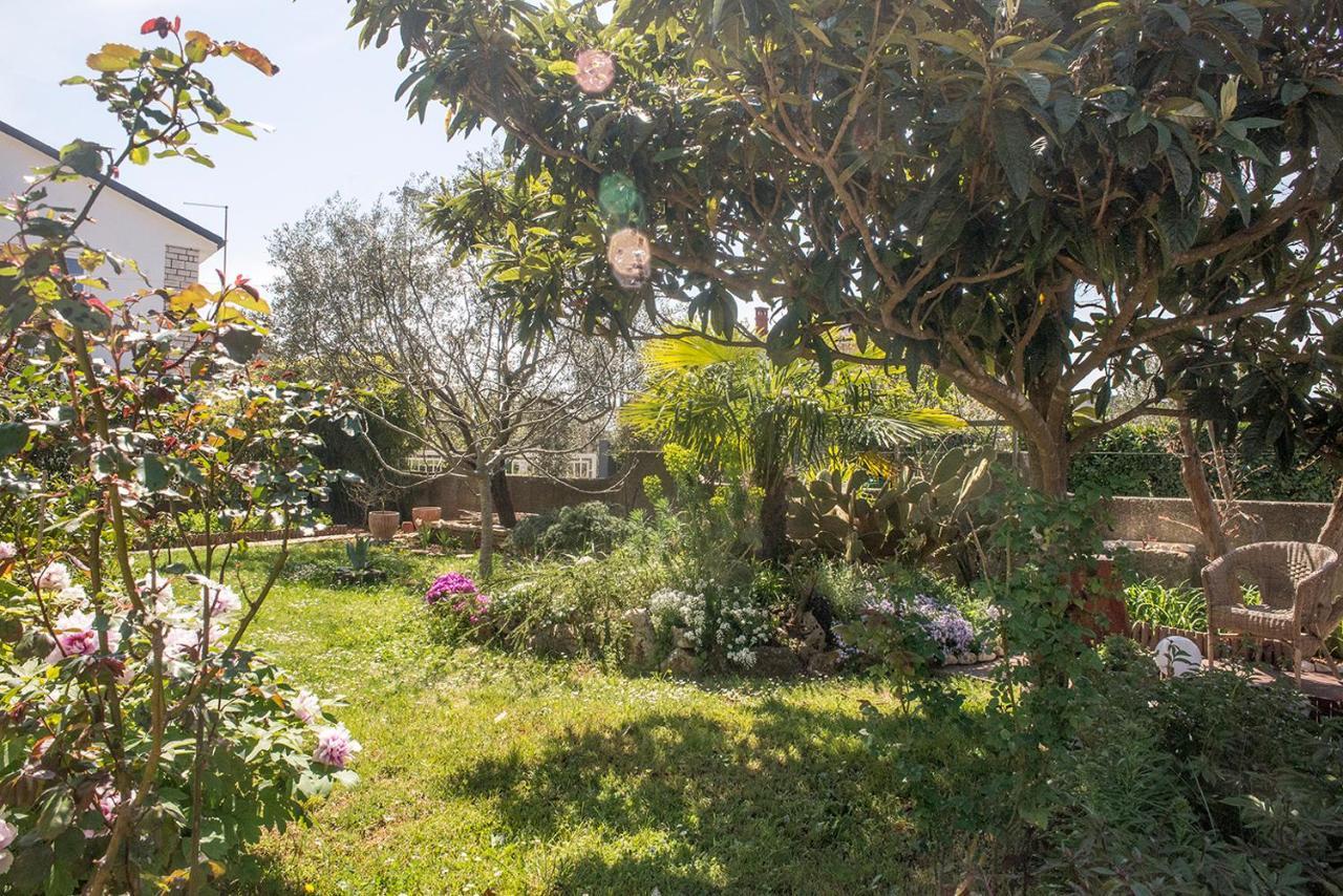 Apartment Lori Fažana Dış mekan fotoğraf