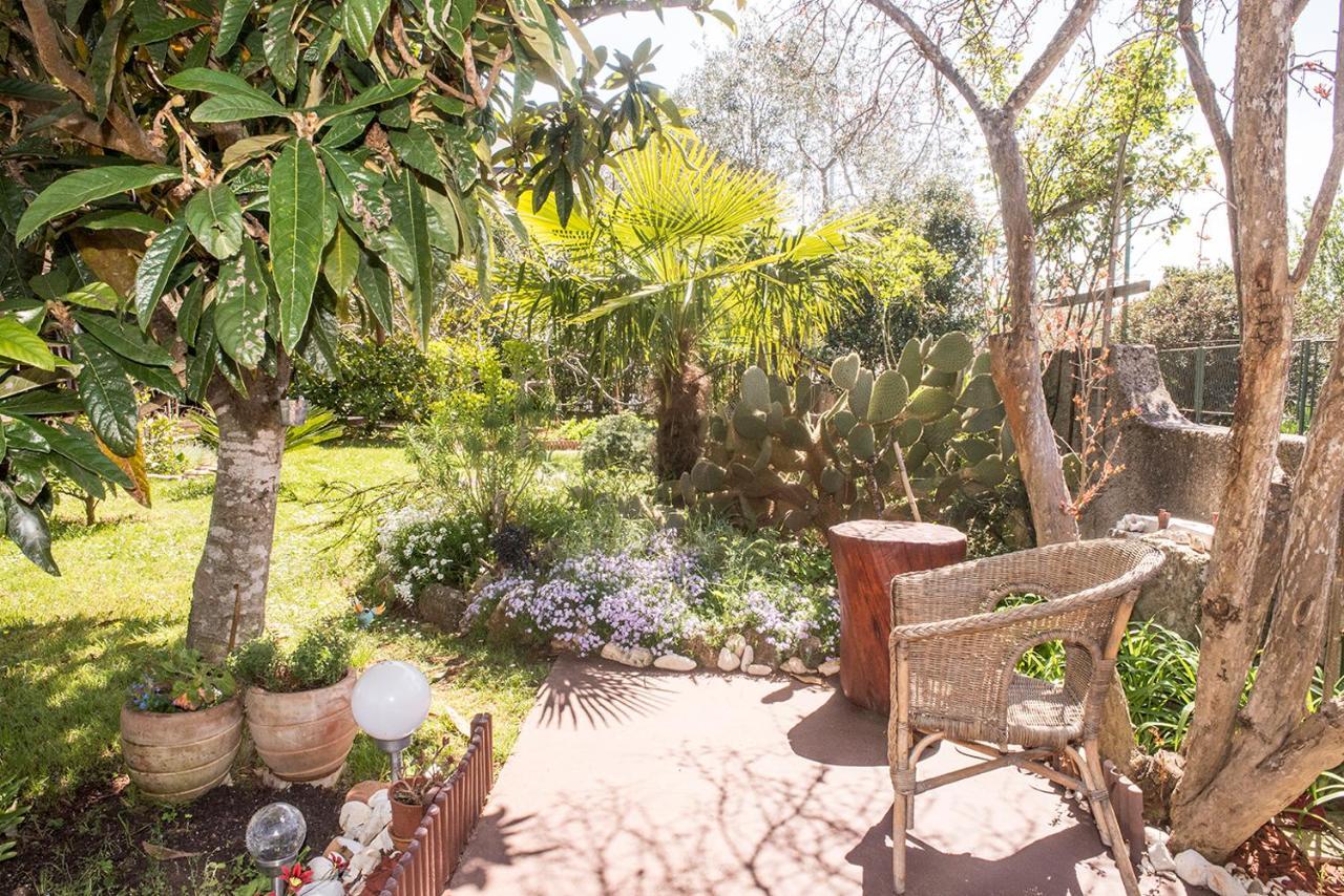 Apartment Lori Fažana Dış mekan fotoğraf